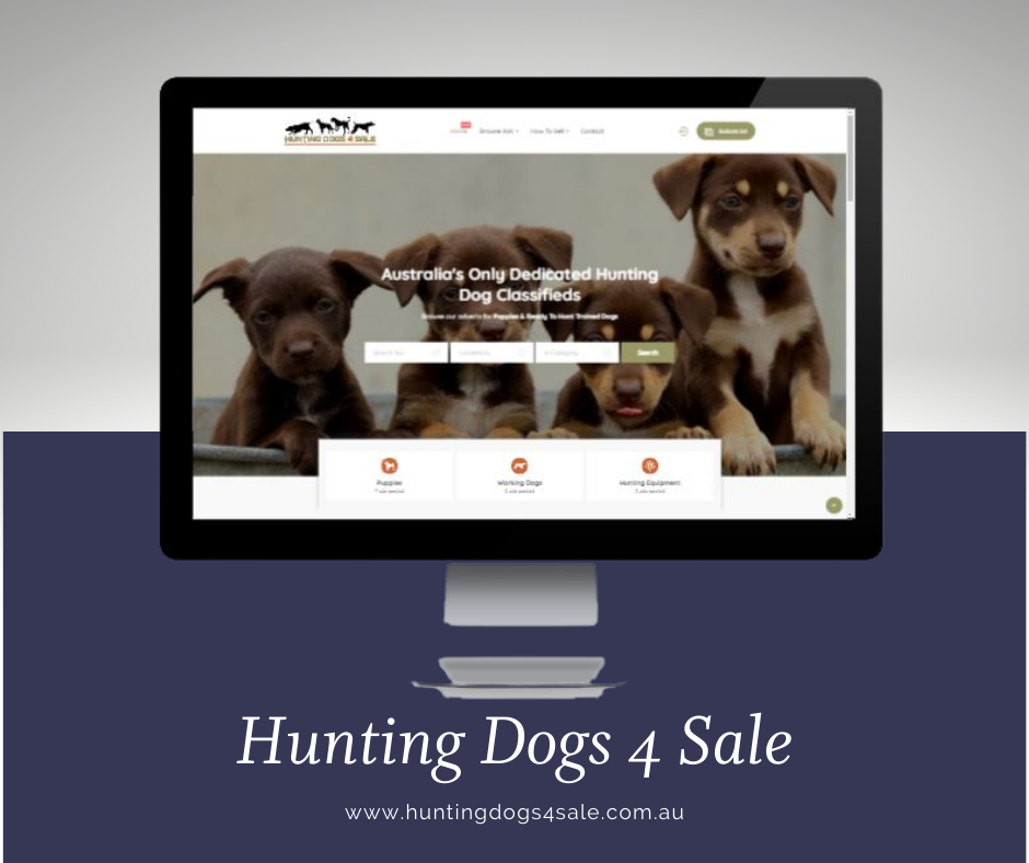 Hunting Dogs 4 Sale